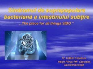 Suprapopularea bacteriana a intestinului subtire