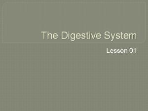 The Digestive System Lesson 01 Simple Digestive Tracts