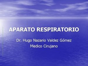 APARATO RESPIRATORIO Dr Hugo Nazario Valdez Gmez Medico