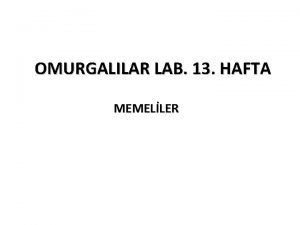 OMURGALILAR LAB 13 HAFTA MEMELLER Sciurus vulgaris Krmz