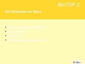 Bio TOP 2 Der Krperbau der Biene schrittweiser