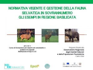 NORMATIVA VIGENTE E GESTIONE DELLA FAUNA SELVATICA IN