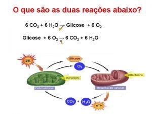 Aerobiose