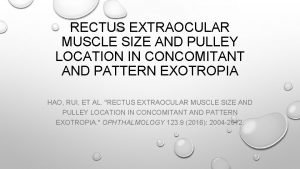 RECTUS EXTRAOCULAR MUSCLE SIZE AND PULLEY LOCATION IN