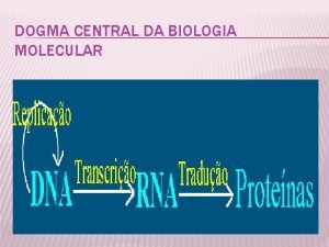 Dogma central