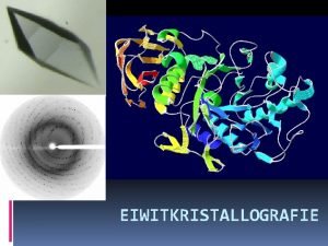 Amylase practicum