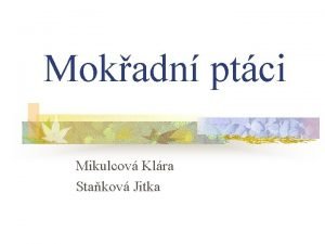 Mokadn ptci Mikulcov Klra Stakov Jitka Mokady n