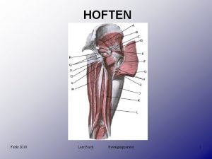 HOFTEN Forr 2010 Lars Buch Bevgeapperatet 1 HOFTEN