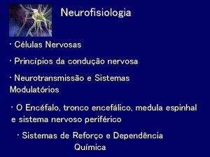 Neurofisiologia Clulas Nervosas Princpios da conduo nervosa Neurotransmisso