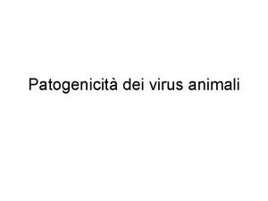 Patogenicit dei virus animali Patogenesi delle infezioni virali