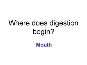 Does digestion begin in the mouth