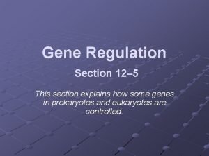 12-5 gene regulation