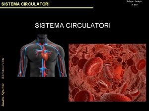 SISTEMA CIRCULATORI Susana Fajarns IES Veles e Vents