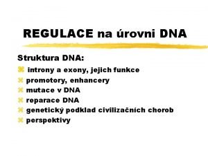 REGULACE na rovni DNA Struktura DNA z introny