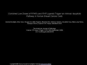 Combined Low Doses of PPAR and RXR Ligands