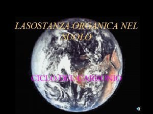 LASOSTANZA ORGANICA NEL SUOLO CICLO DEL CARBONIO CLASSI