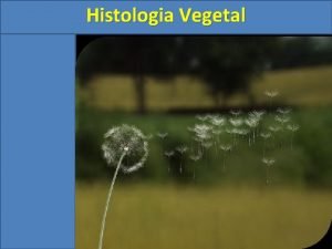 Histologia Vegetal Histologia Vegetal 1 Introduo A histologia