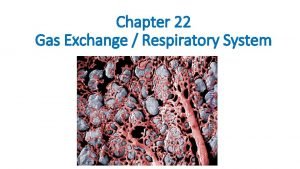 Gas exchange