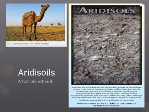 Desert soil layers