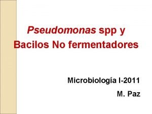 Pseudomonas spp y Bacilos No fermentadores Microbiologa I2011