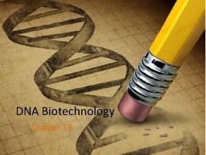 Genetics and biotechnology chapter 13