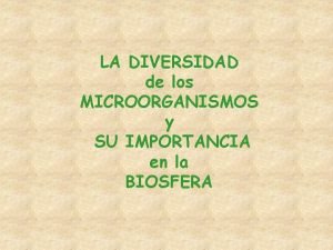 Bacterias termoacidófilas Bacterias termoacidófilas