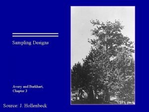 Sampling Designs Avery and Burkhart Chapter 3 Source