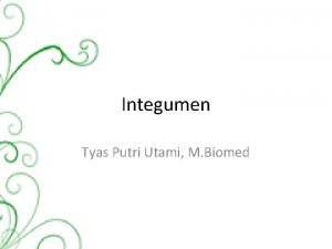 Integumen Tyas Putri Utami M Biomed 1 Gambaran