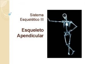 Sistema Esqueltico III Esqueleto Apendicular Cinturn Pectoral Consiste