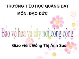 TRNG TIU HC QUNG T MN O C