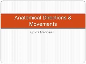 Anatomical Directions Movements Sports Medicine I Anatomical Position
