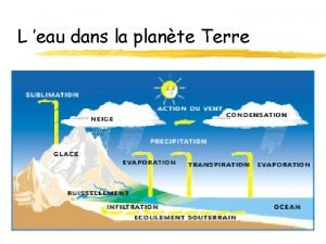 L eau dans la plante Terre La substance