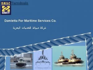 Terminals Damietta For Maritime Services Co DMSC Share
