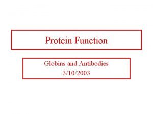 Protein Function Globins and Antibodies 3102003 Hemoglobin and