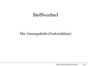 Stoffwechsel Die Atmungskette Endoxidation Biologie Gesamtband Handbuch fr