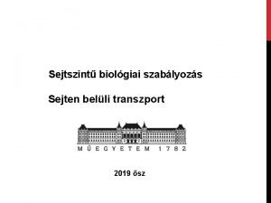 Kompartmentalizáció