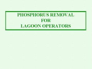 Lagoon phosphorus removal Lagoon phosphorus removal
