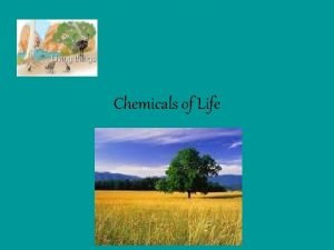 Chemicals of Life Carbohydrates Sugar Starch Cellulose Glycogen
