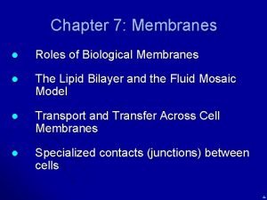 Chapter 7 Membranes l Roles of Biological Membranes
