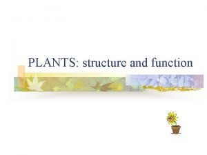 PLANTS structure and function Plants Grouped by characteristics