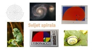 Logaritamska spirala