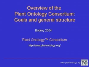 Overview of the Plant Ontology Consortium Goals and