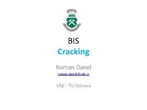 BIS Cracking Roman Danel roman danelvsb cz VB
