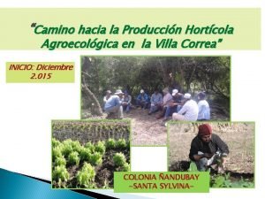 Camino hacia la Produccin Hortcola Agroecolgica en la