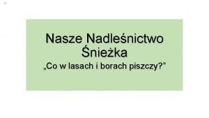 Nasze Nadlenictwo nieka Co w lasach i borach