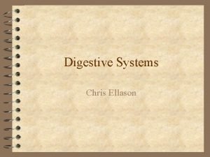 Digestive Systems Chris Ellason Digestion and Absorption 4