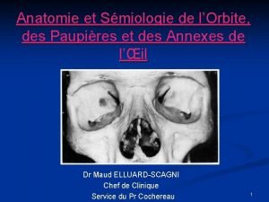 Anatomie et Smiologie de lOrbite des Paupires et