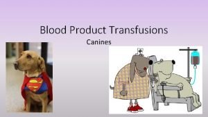 Blood Product Transfusions Canines Blood Product Types adds