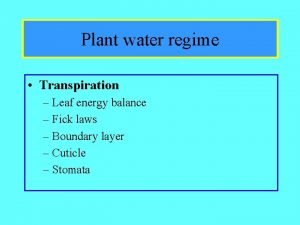 Plant water regime Transpiration Leaf energy balance Fick