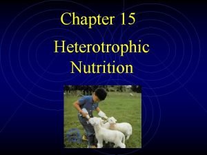 Chapter 15 Heterotrophic Nutrition Introduction Heterotrophic nutrition consumes